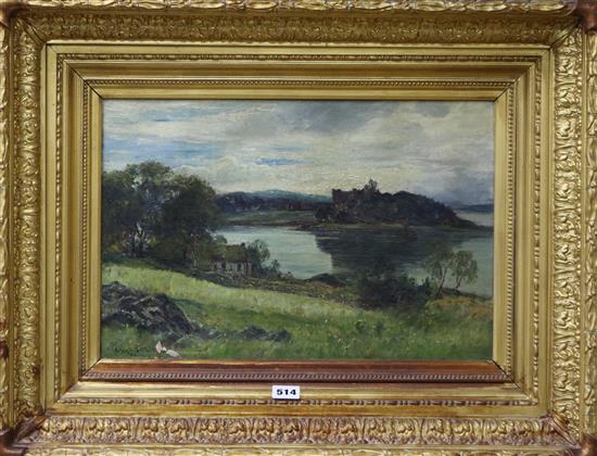 P. Buchanan, oil on canvas, Scottish loch scene, 30 x 45cm